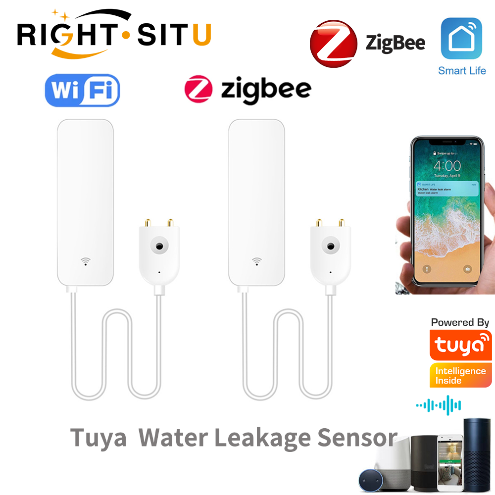 Tuya WiFi 漏水センサー、漏水検知器、Smartli - Home Security Tools のレビューと価格